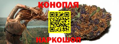 a pvp Можга