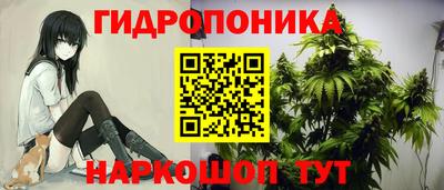 трава Нальчик