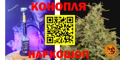 a pvp Можга