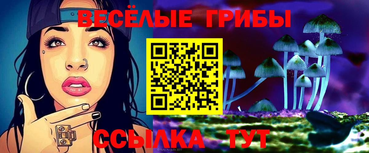 Галлюциногенные грибы мухоморы  Псилоцибиновые грибы мухоморы  Чайковский  Вход с VPN 